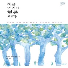 하나북스퀘어 지금 여기에 현존하라 자유와 평화 참된 자기로 깨어나는 마스터키 modern spiritual classic 7