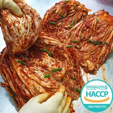 전라도 100%국산 재료 포기배추김치 해남 남도본가 HACCP인증 저염, 4kg
