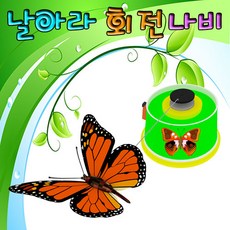 걸음마나비딱딱이