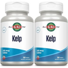 칼 켈프 아이오딘 225mcg - Kelp, 2개, 250정