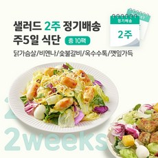 [포켓샐러드] 샐러드 2주 정기배송 주5일 (닭가슴살 샐러드_닭+비엔나+숯불+옥수수+깻잎), 10개, 249g