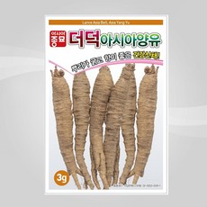 더덕씨앗