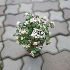 c9a4d7f16b5371067c7e6e9df683bbe6937b4c69f7376a7d649d60dc6216.jpg