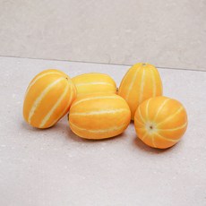 [오늘신선] 달콤한 과즙이 듬뿍 성주참외 가정용 2.5kg(중소과) 7-14과 내외, 1개, 상세 설명 참조