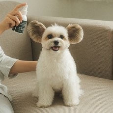프로젝트21