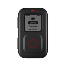 고프로히어로10