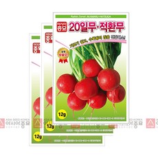 아시아종묘 적환무씨앗 20일무 방울무 (12gx3), 3개