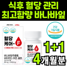 인슐린다이어트