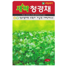 AR 새싹청경채 소포장 좋은 씨앗 30g, 1개
