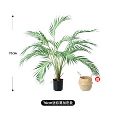 쉐프렐라