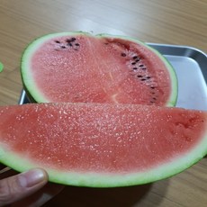 꿀수박