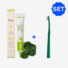 핏펫 플라고 시카 치약 덴티덤 60g + 플라고 칫솔 SET, 플라고 치약 덴티덤 + 플라고 기본 칫솔