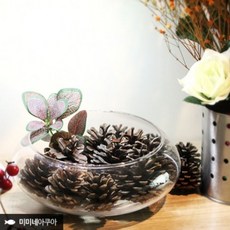 퓨어숨가습기