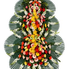(당일배송) 개업화분 배달 전국 꽃배달 서비스 결혼 환갑 축하화환 근조화환 동양란 서양란 화분배달