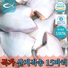 참가자미