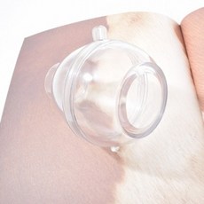 데일리필라왁스