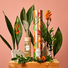 [모던하우스 논현점] 썸머파라다이스 부라노 트로피칼플라워 430ml (AR0324030)