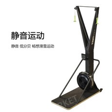 로잉머신 노젓기 전신운동 기구 카누 유산소 헬스 홈트