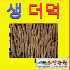 더덕파지