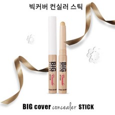 빅 커버 스틱 컨실러 2g