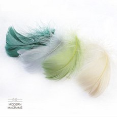 크레욜라트위스트형광