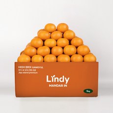 린디 GAP AI 고당도 제주감귤 노지 타이벡 루비향 홍매향 홍귤 1.5KG 3KG 5KG 10KG, 1개, 타이벡감귤, 중량=3kg(중대과L~2L)