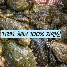 거제도 해녀가 직접 조업 100% 자연산 해삼 식감 좋고 향이 꼬돌, 1세트, 1kg+1kg