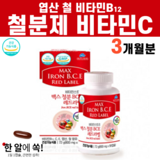 차병원임산부영양제