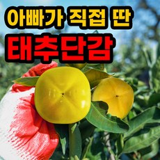 햇감