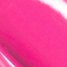 베이글핑크영양제