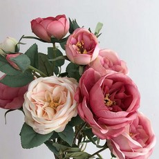 791c940e0720dc2e555b68d9038ee20133db48c05aa86a21bf06f8905bb4.jpg
