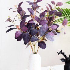 유칼립투스씨앗