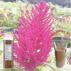 국산 아마란스 20년산 햇곡, 1kg