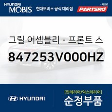 그랜져hg그릴스피커