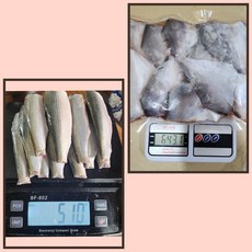 완도 자연산 세꼬시 횟감 병어회 전어회 병치 1kg, 1개
