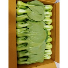 [싱싱한채소] 신선한 국내산 청경채 박스, 1박스, 4kg