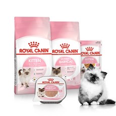 로얄캐닌키튼2kg