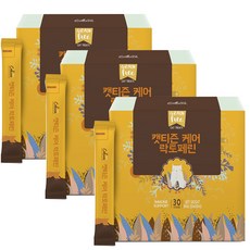 캣티즌 케어락토페린 12g x 90개 /고양이 구내염개선, 단품, 단품없음