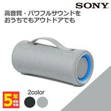 srs-xg300