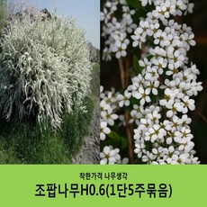 168fe64d9e6b6f18d6a1677909f5c20dd2ac6955cf90c22e9cf06c9c6fc0.JPG