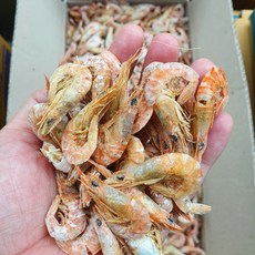 오늘의바다 국산 햇 국물새우 육수용 건새우 1.5kg (당해 생산)