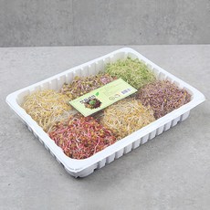 행복한농부 영암 모듬새싹채소 500g