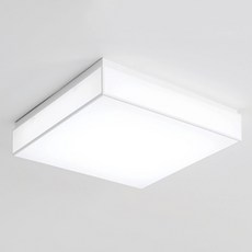 라리앙솔 S LED 50W 방등 바리솔 재질 방등 주광색, 단품
