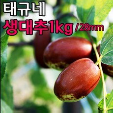 태규네농장 보은 생 대추 28mm 1kg 햇대추 사과대추, 1박스