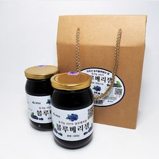 지리산 유기농 블루베리잼 500g X 2병 선물 국산, 500g*2병, 2개