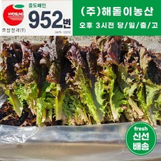 <해돋이농산> 국내산 적상추 상추 쌈채소 쌈야채 2kg 4kg, 1개