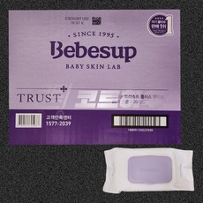 에이제이 베베숲 트러스트 플러스 휴대용물티슈 70g 20매 20개입, 20개