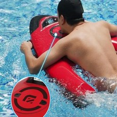 울릉도스킨스쿠버