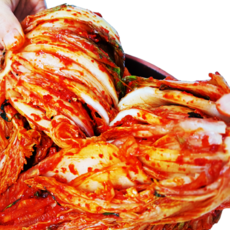 김치주문