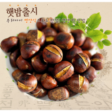 바우밤 23년 햇 약단밤 칼집밤 1kg, 1개